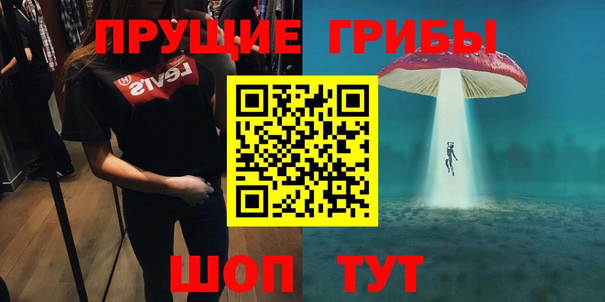 Бузулук  Псилоцибиновые грибы Psilocybe  Вход с VPN 